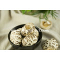 Producto agrícola de calidad Mushroom de flor blanca
